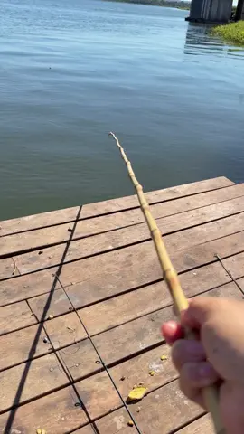 coisa top, segui nois aí família #fy #pesca #fyppppppppppppppppppppppp 