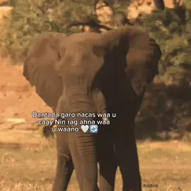 🤍 #J͜͡a͜͡a͜͡b͜͡i͜͡r͜͡o͜͡w͜͡☠️🦧 #viewslaaan🥺💔😭 