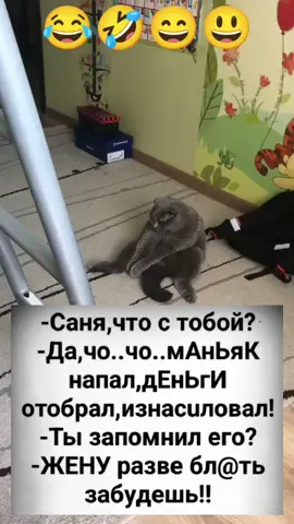 #кот #😸 #смешноевидео #смехдослез #умора 