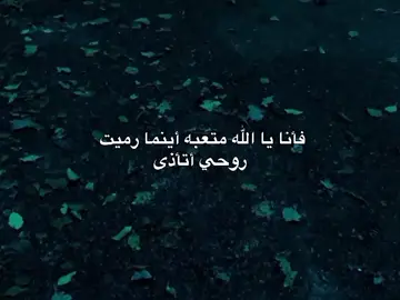 #اكسبلور_محضوره_من_مشاهدات #لايكاتكم_مع_اكسبلووور #متابعه_ولايك_واكسبلور_احبكم #لايك_متابعه_اكسبلور_كومنت_فولو #اكسبلور_محضوره_من_مشاهدات 