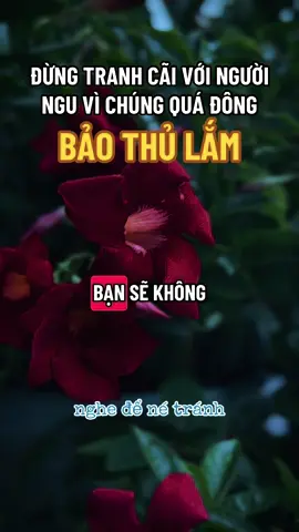 Tốt nhất không nên tranh luận với họ#ngộ_để_an #phatphapnhiemmau #cliptrieuview #xuhuongtiktok #trending 