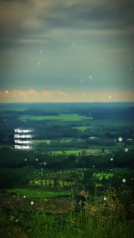 NẾU ANH ĐƯỢC LỰA CHỌN  ST: Thái Thịnh TB: Nguyễn Đình Tuấn Dũng  #tramcamxuc  #nhachaymoingay  #nhactamtrang  #nhacbuon  #neuanhduocluachon