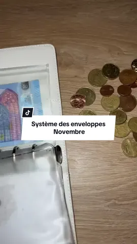 Système des enveloppes de novembre et fin du mois d’octobre 💰 #systemeenveloppebudget #budget #epargne #envelopesystem #projet 