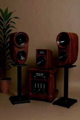 Đẹp quá nhưng ...#danamthanh #kienAmthanhbai #loa #dannhatnoidia #nhạctesloa 