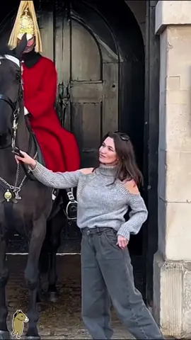 British Royal soldiers  #kingsguard #king #fouyou #horse #fyppppppppppppppppppppppp 