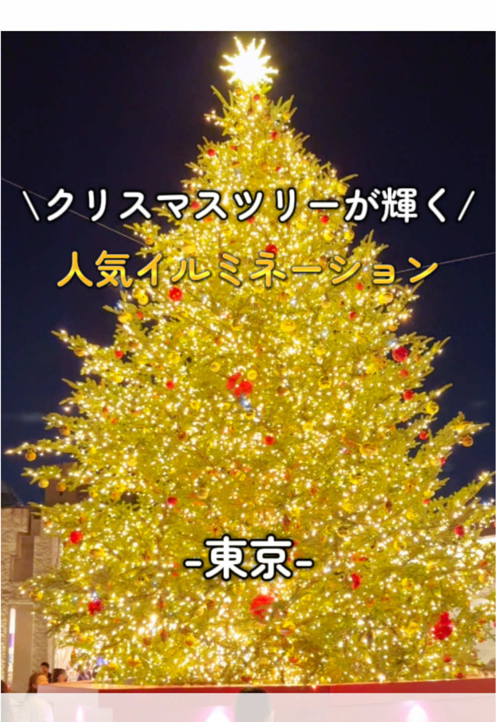 クリスマスムード満載で幸せな空間だった 平日は人も少ないから仕事帰りのデートにもぴったり🎄🎅🏻 みんなの好きなイルミネーションスポットをコメントで教えて！➡️ 📍恵比寿ガーデンプレイス〜イルミネーション&クリスマスマルシェ〜 【期間】 2025.11.8(土)〜2026.3.1(日) ※クリスマスマルシェは12/25(木)まで 【点灯時間】 16:00〜23:00 ※クリスマスマルシェは 平日17:00〜20:00 土日祝12:00〜20:00 【料金】 入場無料 【アクセス】 恵比寿駅徒歩5分 #恵比寿 #恵比寿ガーデンプレイス #イルミネーション #illumination 