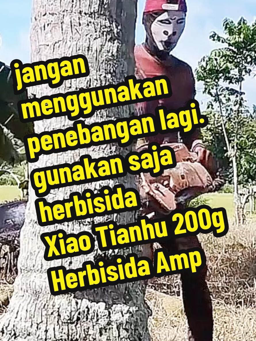 pembasmi pohon besar pohon kelapa Xiao Tianhu 200g Herbisida Amp #pohonbesar #pohonkelapa #petanisawit #petaniindonesia🇮🇩🇮🇩🇮🇩🌿🌿 #herbisidarumput 