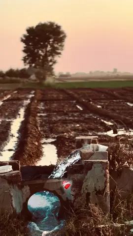 ❤️‍🩹#hassan_tarar10 