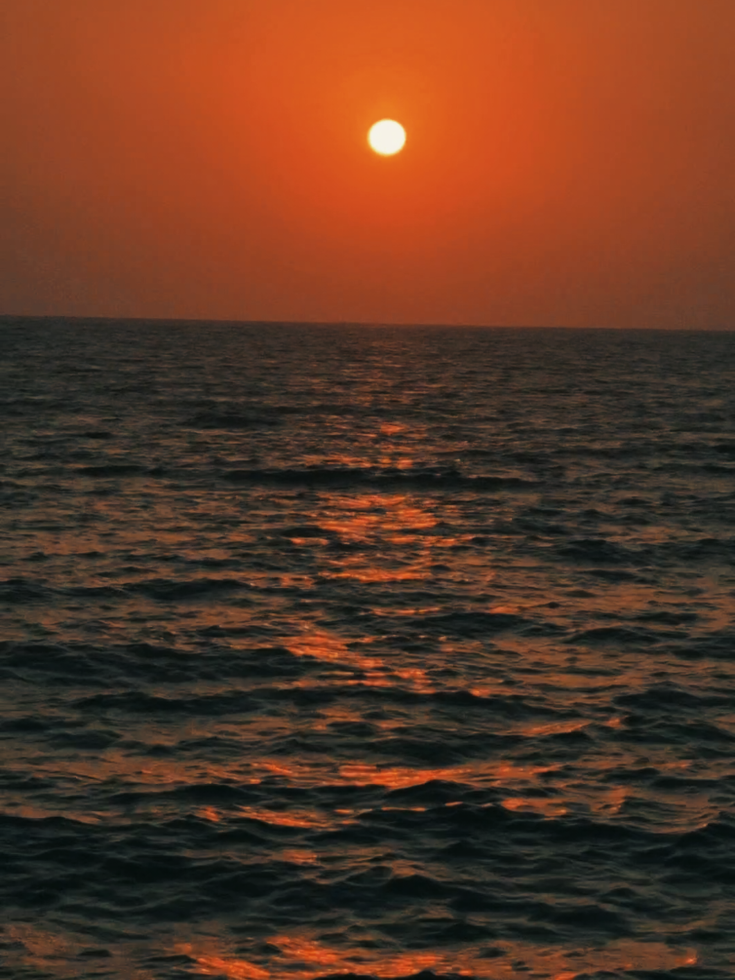 🤍🤍كان حلم عمرى  #تصويري📸 #غروب #عامر_منيب #amermounib 