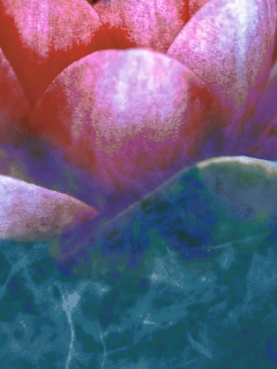 ... dafür lässt sich's streiten — aber nicht kämpfen!