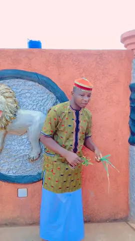 #tiktokbenin🇧🇯 #229🇧🇯  #benintiktok🇧🇯 