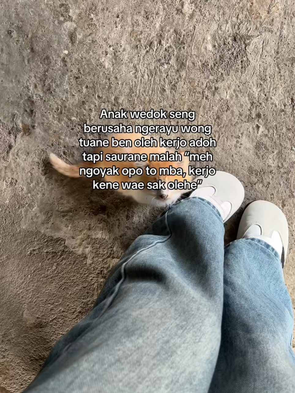 #fyppppppppppppppppppppppp #tuban24jam 