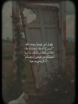 #قران_كريم ذ#الاستغفار_وطن_للخَائفين #اذكار_ادعية #يوم الجمعه#سلسله الاستغفار والتسبيح والحوقله