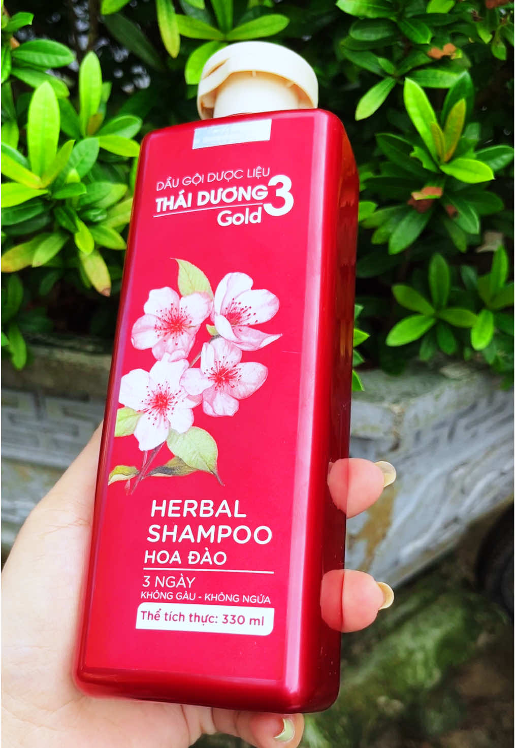 Dầu gội dược liệu thái dương 3 gold  @Tiệm nhà Phương Chi  @Tiệm nhà Phương Chi  @Tiệm nhà Phương Chi #xuhuong #tiemnhaphuongchi #daugoi #daugoithaiduong #daugoithaiduong3 