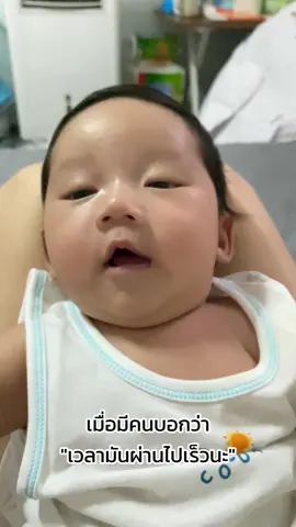 เลี้ยงมาตัวเท่าลูกแมว ผ่านมา 4 ปีกว่ากลายเป็นลูกลิงได้ไง #CapCut #ทีมลูกชาย #จับลูกชายแต่งตัว 