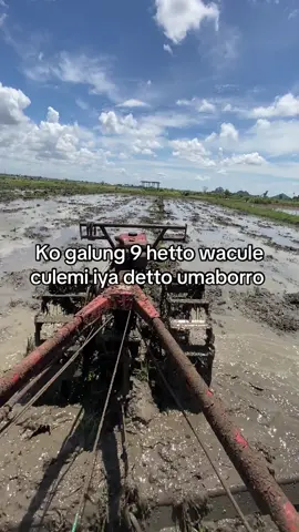 #fyppppppppppppppppppppppp #storytime #ilmupadi🌾🔥 #sidrap📍 #galan27⚡️ 