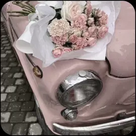 .✦ּ ֶاللــــــہ پر بھـروســـــــــہ کرو `|• REPOST 🌼#fyp #h3y_maryam #xyzbcafypシ #foryou 