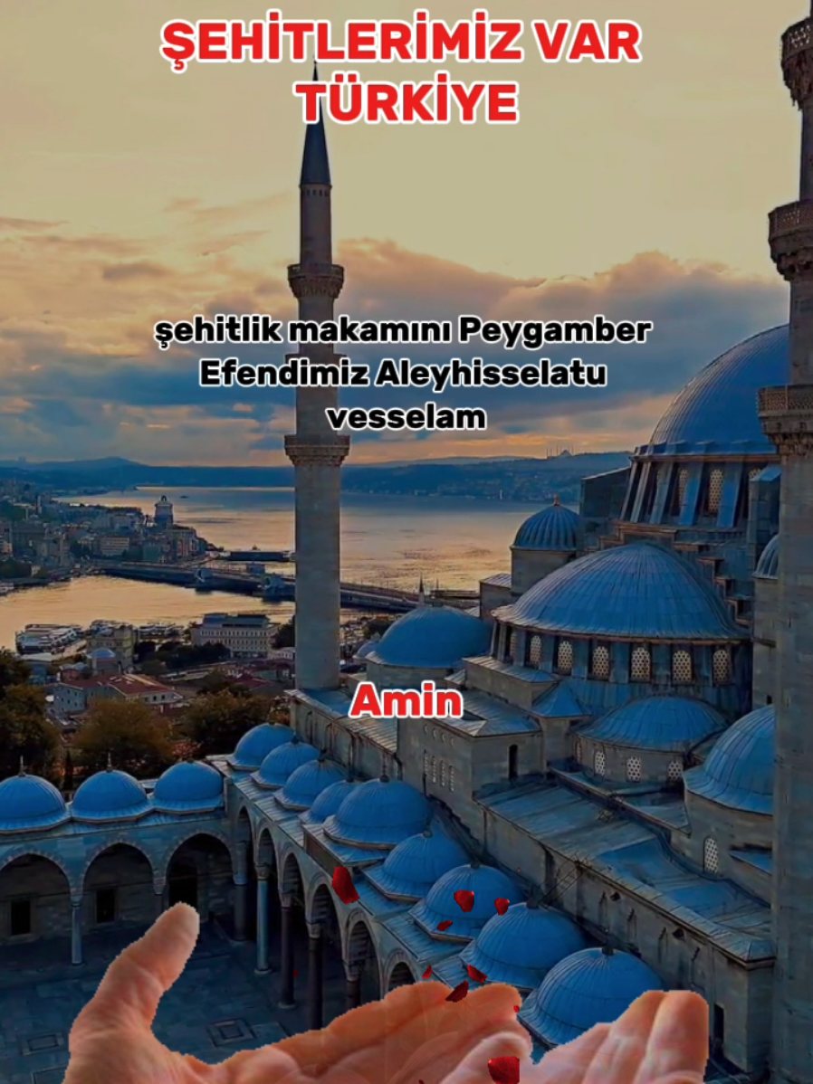 #şehit #başımızsağolsun #şehidimizvar #keşfett 