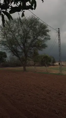 میرے خیال میں بڑے ہونے کا سب سے کڑوا سچ یہ ہے کہ ہمیں آہستہ آہستہ ان لوگوں کو کھونا پڑتا ہے جو کبھی ہماری زندگی کالازمی حصہ ہوا کرتے تھے نہ کوئی لڑائی ہوتی ہے نہ کوئی جھگڑا بس زندگی خاموشی سے سب کچھ بدل دیتی ہے بات چیت کم ہونے لگتی ہے خیریت پوچھا بند ہو جاتا ہے رابطے ٹوٹنے لگتے ہیں اور ہمیں پتہ بھی نہیں چلتا کہ کب وہ لوگ جو ہر وقت ہمارے آس پاس ہوتے تھے اب صرف یادوں میں باقی رہ گئے ہیں وہ یادیں جو دل کے کسی کونے میں تو بسی رہتی ہیں مگر حقیقت کی زندگی سے کہیں کھو چکی ہوتی ہیں۔#underreview 