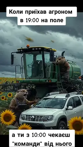 Коли чекаєш на вказівку агронома в полі #жартиукраїнською #гумор#гуморукраїнською #гумор #тіктокукраїна #😂😂😂 #🔥#агроном #поле #трактор #🚜 #agro #топ