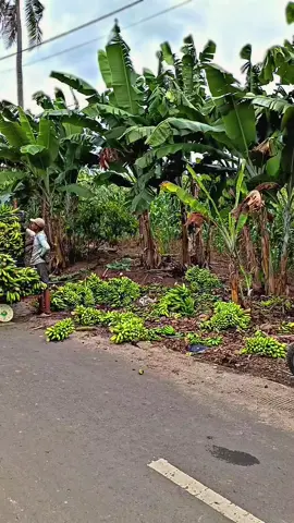 #CapCut#promomakan1111 #fyp #promomakanharian 