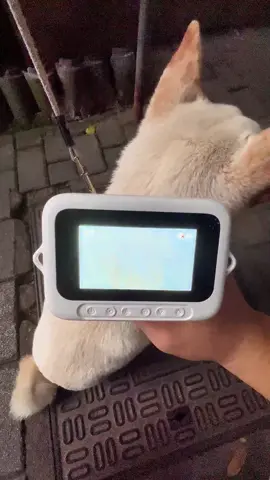 #kidsmicroscope #microscope 