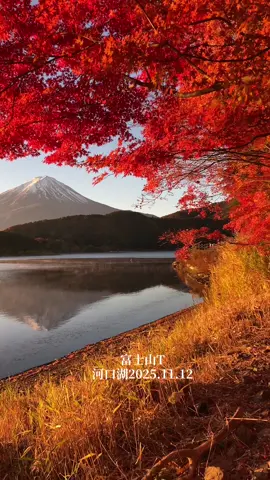 富士山河口湖2025.11.12