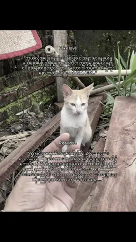 ချစ်တတ်တိုင်းလည်းအချစ်လို့မခေါ်ပြန်ဘူး💗#stopflop #fyp 