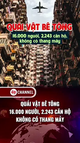 Quái Vật Bê Tông #69channel #dailoan #khampha #dulichdailoan #xuhuong 