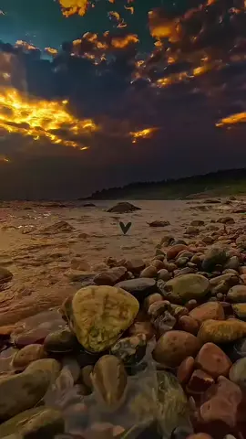 #boideiro #candomblebrasil #umbandasagrada #portugal🇵🇹 #umbandabrasil 