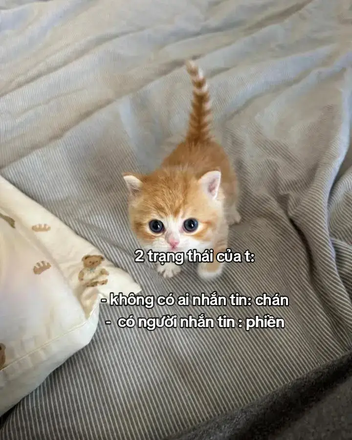 #xh #viral #fyp #tamtrang 