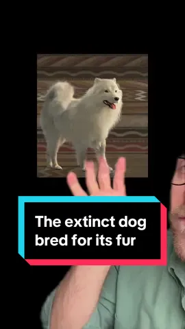 #stitch with @Macy Gilliam RIP Mutton🥺 #interestingfacts #funfact #AnimalFacts #Science 