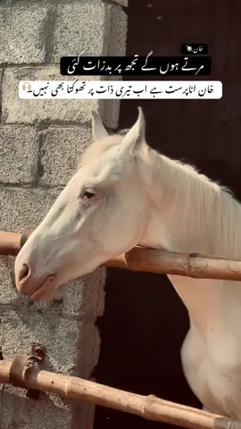 ہاہ جی۔🙌🏼❤️‍🔥 . . . #fyp #reels 