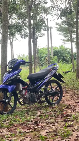 Giỡn giỡn 🤣#65jet2 #xuhuongtiktok 