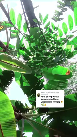 Replying to @bdarmytorikul মেরে ফেলেছি হাজারো স্বপ্ন ভাগ্যের উপর ছেড়ে দিয়েছি সব আমি এখন বুঝতে শিখেছি মানতে শিখেছি চাইলেই পাওয়া যায় না সব#tiktok #foryoupage❤️❤️ #10kviews #support #viral @💔(ব্যর্থ.... কবি)💔TORIKUL💔 