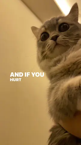 #lyrics #photography #edsheeran 