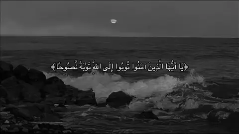 #قران_كريم #اجر_لي_ولكم #