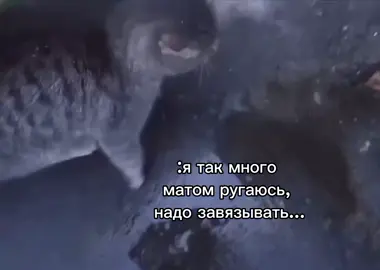 ещё одно видео с этим трендом (ну он мне просто нравится) #рек #рекомендации #мойистинныйвайб #асылбек #батек 