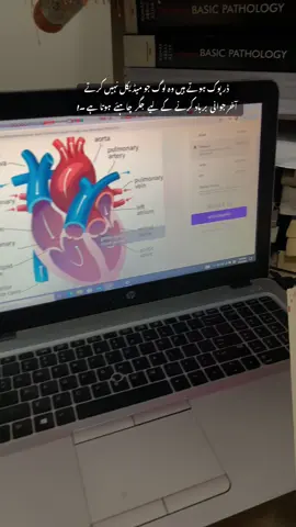 #china🇨🇳 #mbbsinchina🇨🇳 #admission #xinjiangmedicaluniversty🇨🇳 #🇵🇰🇨🇳 