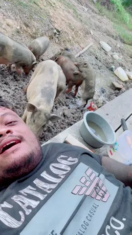 babi esih cilik lakian banget kaya koe lur😂😂