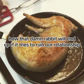 please leave us alone#fyp #viral #rabbit 