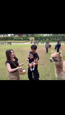 elzhard bertumbuh dlm kasih syg kdua orangtua yang hebat🥹🤍 awas aja ada yang gangu dan hujat keluarga elzhard😡😡#elzhard #celiboy #kayes #masyaallahtabarakkallah #bayilucu 