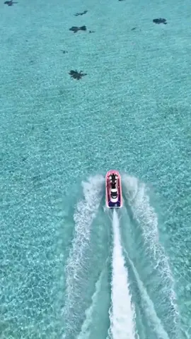 Moi fuyant mes responsabilités 🫣🏃‍♀️🌊 #maldives #jetski #turquoise #maldivestiktok #goodvibes 