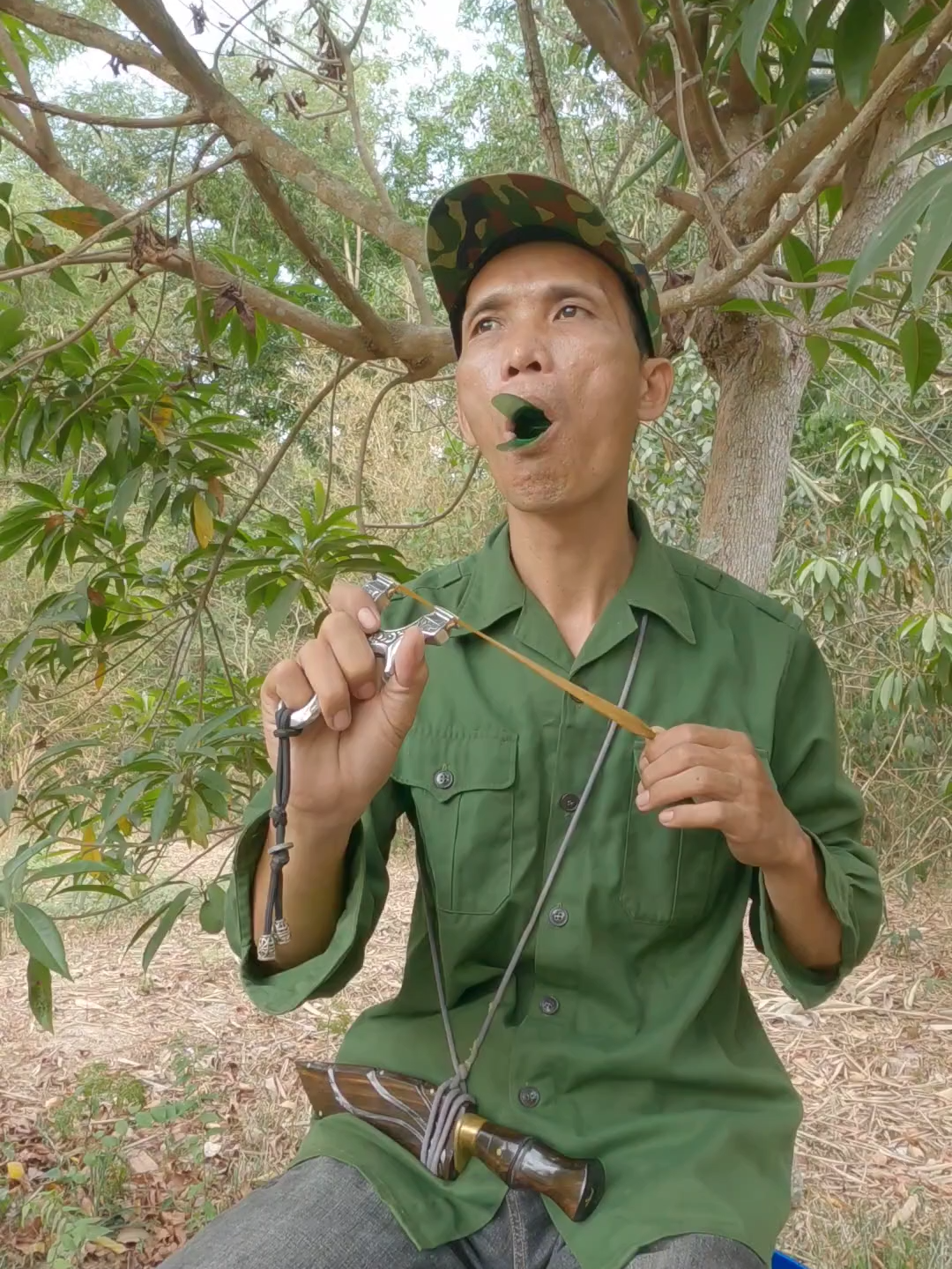 #entertainment #birdsound #shorts