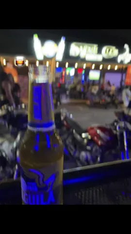 #🥃 #elandariego #elindomable #musicapopular #cauca 