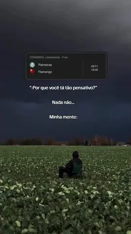 Eu só penso naquilo...#gloriaeterna #libertadores2025 