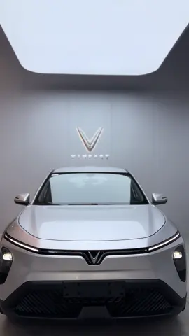 Siêu phẩm trong năm 2025 mang tên Vinfast Limo Green ☘️☘️☘️ #limogreen #vinfastquocviet #vinfastcantho 