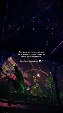 #comamorvangogh #arte #artesvisuais #vangogh #vincentvangogh 