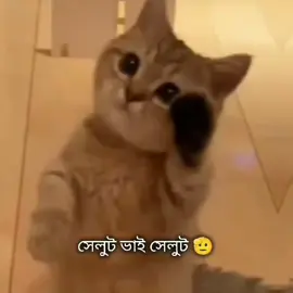 বন্ধু তোর এতো পতিভা আগে জানতাম না তো 