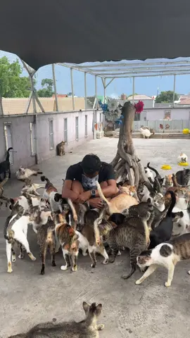 Maaf ya nak, saat ini belum bisa wujudkan mimpi kalian punya lahan bermain, 